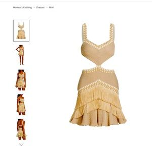 PatBo brand new. Metallic Cut-Out Fringe Minidress.